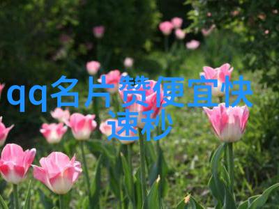 吹泡泡依念画圈圈天长地久_QQ姐妹分组一对
